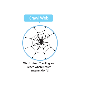 Web Crawler